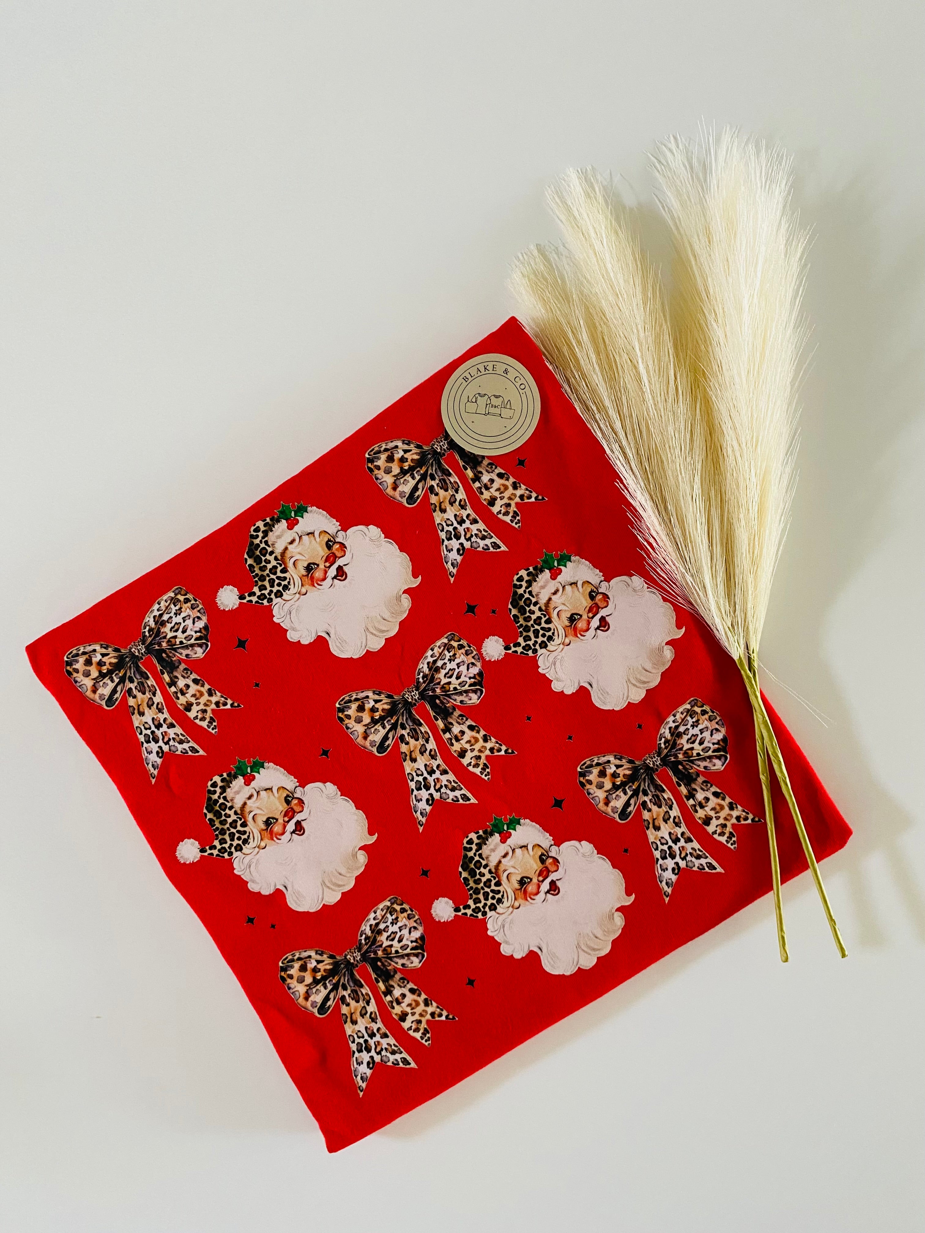 Cheetah Santa